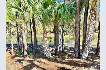 31 Pony Express Drive, Palm Coast, FL 32164 - Photo 8