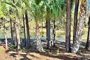 31 Pony Express Dr, Palm Coast, FL 32164 - Photo 8