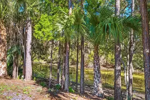 31 Pony Express Dr, Palm Coast, FL 32164 - Photo 58