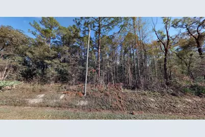 10410 Vaughan Avenue, Hastings, FL 32145 - Photo 1