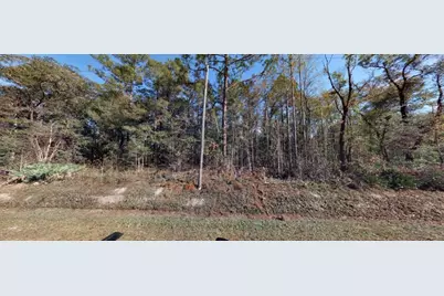 10410 Vaughan Avenue, Hastings, FL 32145 - Photo 6