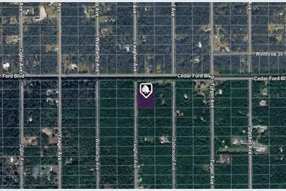 10410 Vaughan Avenue, Hastings, FL 32145 - Photo 2