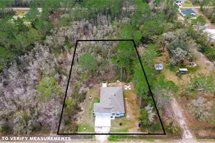 4555 Alvin St, Hastings, FL 32145 - Photo 2