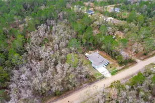 4555 Alvin St, Hastings, FL 32145 - Photo 50