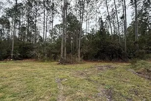 4177 Fruitwood Ave, Bunnell, FL 32110 - Photo 6