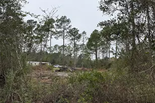 4177 Fruitwood Ave, Bunnell, FL 32110 - Photo 10