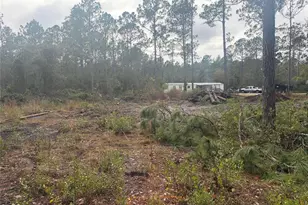 4177 Fruitwood Ave, Bunnell, FL 32110 - Photo 8