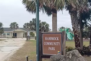 11 Osceola Ave, Palm Coast, FL 32137 - Photo 46