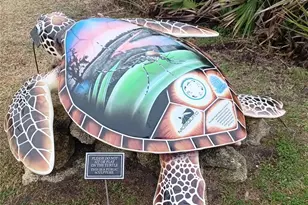 11 Osceola Ave, Palm Coast, FL 32137 - Photo 44