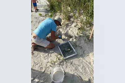 4525 S Atlantic Avenue #1501, Port Orange, FL 32127 - Photo 38