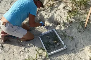 4525 S Atlantic Ave, Port Orange, FL 32127 - Photo 38