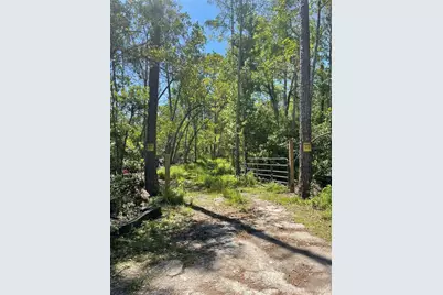 3781 Pine Pitch Court, Ormond Beach, FL 32174 - Photo 1