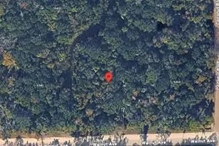 6502 Walnut Ave, Bunnell, FL 32110 - Photo 1