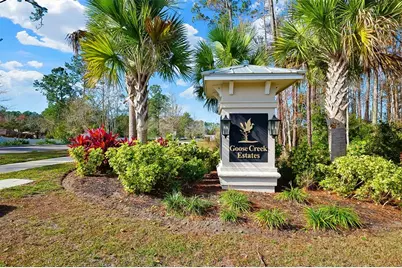 3001 Goose Creek Lane, Green Cove Springs, FL 32043 - Photo 44