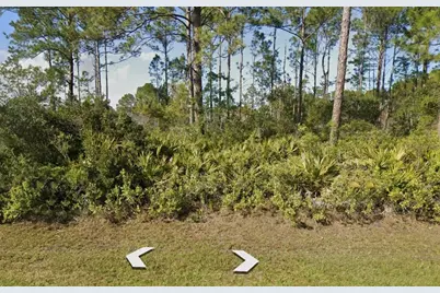 65 Sea Trail, Palm Coast, FL 32164 - Photo 1