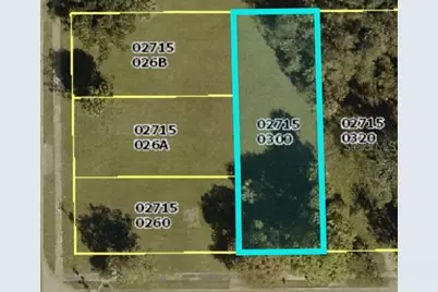 2717 Pastor James A Bing Way, Fort Myers, FL 33916 - Photo 2