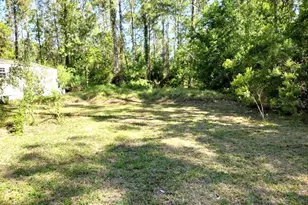 1215 Beech Blvd, Bunnell, FL 32110 - Photo 6