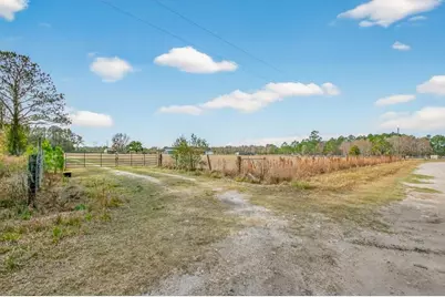 16815 NE 95th Avenue, Waldo, FL 32694 - Photo 2