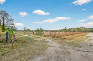 16815 NE 95th Ave, Waldo, FL 32694 - Photo 2