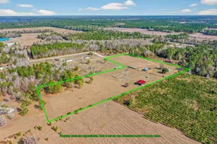 16815 NE 95th Ave, Waldo, FL 32694 - Photo 66