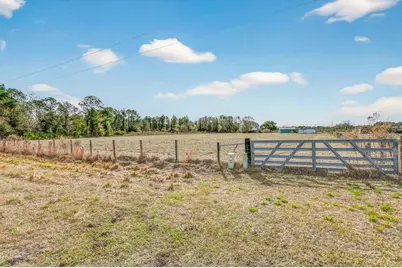 16815 NE 95th Avenue, Waldo, FL 32694 - Photo 6