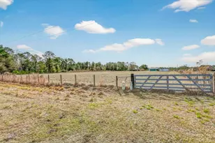 16815 NE 95th Ave, Waldo, FL 32694 - Photo 6