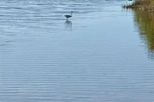 75 Ocean Palm Villa S, Flagler Beach, FL 32136 - Photo 18