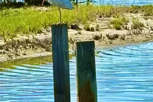 75 Ocean Palm Villa S, Flagler Beach, FL 32136 - Photo 18