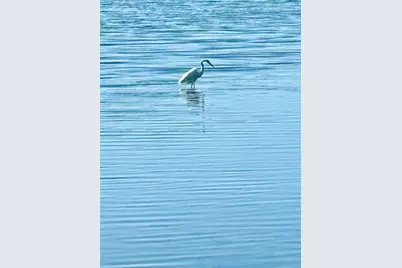 75 Ocean Palm Villa S #75, Flagler Beach, FL 32136 - Photo 20