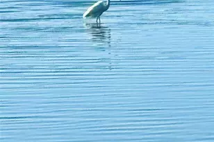 75 Ocean Palm Villa S, Flagler Beach, FL 32136 - Photo 20