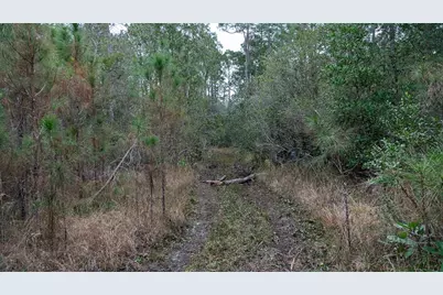 4405 State Road 206 W, Elkton, FL 32033 - Photo 8