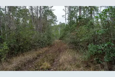 4405 State Road 206 W, Elkton, FL 32033 - Photo 12