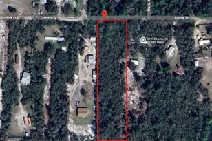 31217 Lorine St, Deland, FL 32720 - Photo 1