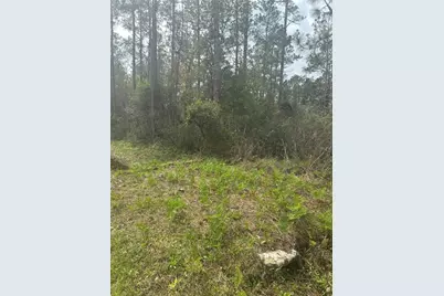 4205 Regina Street, Hastings, FL 32145 - Photo 8