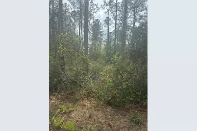 4205 Regina Street, Hastings, FL 32145 - Photo 4