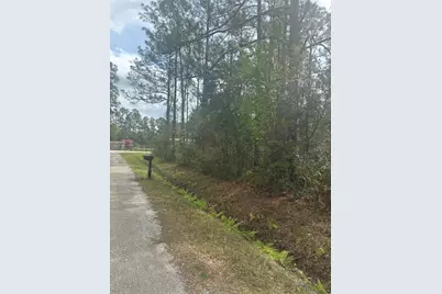 4205 Regina Street, Hastings, FL 32145 - Photo 2