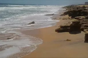 4 Sunrise Cir, Palm Coast, FL 32137 - Photo 46