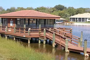 100 Canopy Walk Ln, Palm Coast, FL 32137 - Photo 44