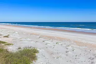252 Gull Cir, Ponte Vedra, FL 32082 - Photo 88