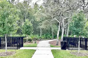 46 Axel Fls Dr, St Johns, FL 32259 - Photo 36