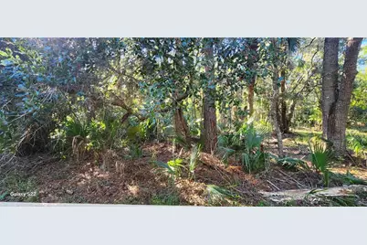 680 E Black Point Road, Bunnell, FL 32110 - Photo 14