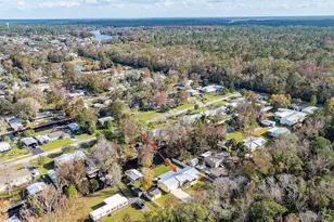 56320 Cherry Tree Rd, Astor, FL 32102 - Photo 8