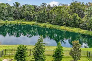 51 Graham Woods Pl, Palm Coast, FL 32137 - Photo 4