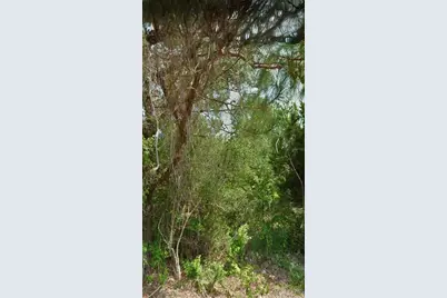 12 Selma Trail, Palm Coast, FL 32164 - Photo 2