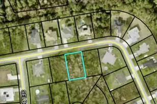 12 Selma Trail, Palm Coast, FL 32164 - Photo 1