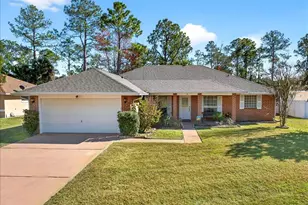 39 Princess Dolores Ln, Palm Coast, FL 32164 - Photo 1