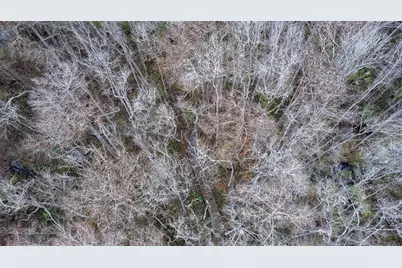 155 Fran Lane, Satsuma, FL 32189 - Photo 26