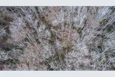 155 Fran Lane, Satsuma, FL 32189 - Photo 24