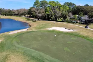 8 Cole Pl, Palm Coast, FL 32137 - Photo 74