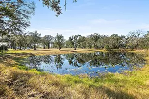 998 Co Rd 302, Bunnell, FL 32110 - Photo 44